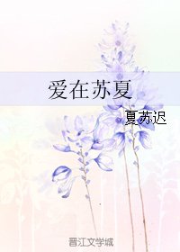 爱在苏夏