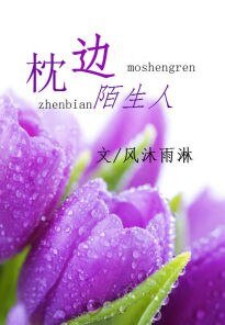 《枕边陌生人》