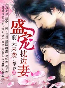 《前夫来袭,盛宠枕边妻》