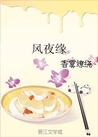 《风夜缘》