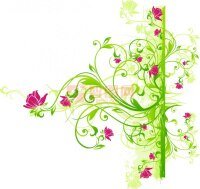 《绿羽樊花》