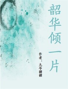 《韶华倾一片》
