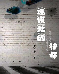 《这该死的律师》
