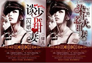 《闪婚,谈少的甜妻/军婚,染上惹火甜妻》
