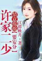 《许家二少》