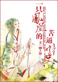 《一只凤凰的苦逼情史》