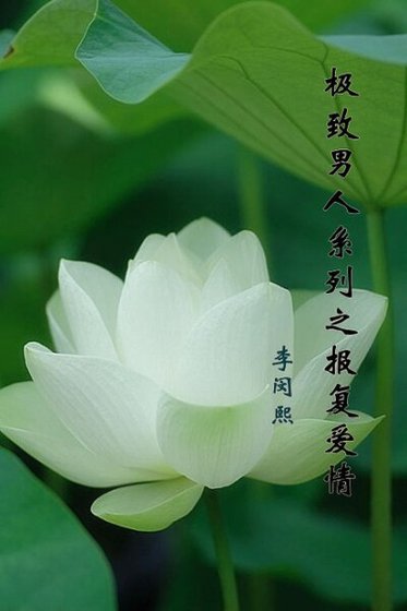 《极致男人系列之报复爱情》