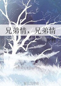《兄弟情,兄弟情》