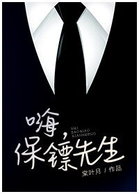 《嗨,保镖先生》