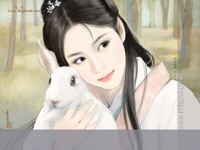 《兔女郎西游记+金瓶梅花几月开(奇书列传)》