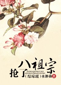 （综琼瑶同人）抢了八祖宗