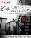 《那些执着的爱恋》