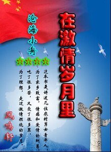 《在激情岁月里》