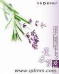 《薰衣草爱情》