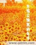 右指尖旋转的年华
