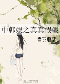 《(韩娱同人)中韩娱之真真假假》