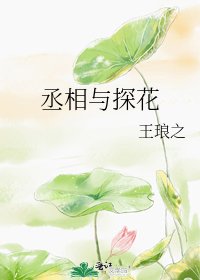 《丞相与探花》