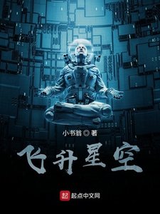 《飞升星空》