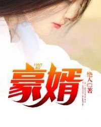 《豪婿免费》