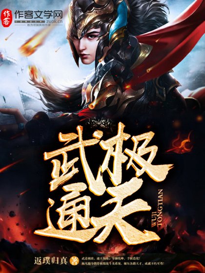 《武极通天》
