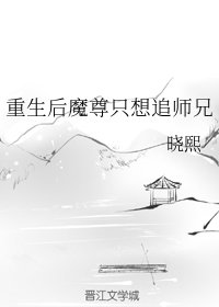 《重生后魔尊只想追师兄》