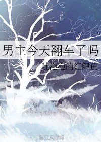 《男主今天翻车了吗》