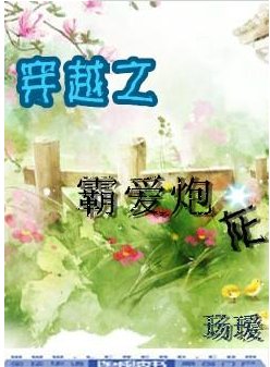 《穿越之霸爱炮灰》
