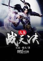 《九龙战天决》