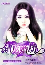 《错宠婚劫》