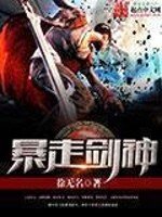 《暴走剑神》