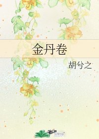 《金丹卷》