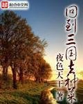 《回到三国去种菜》