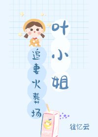 《叶小姐追妻火葬场》