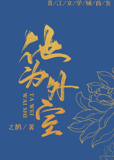 《女扮男装后我养了外室》
