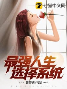 《最强人生选择系统》
