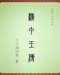 《汉中王传》