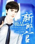 《极品新郎官》