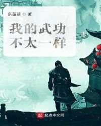《我的武功不太一样》