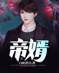 《帝婿》
