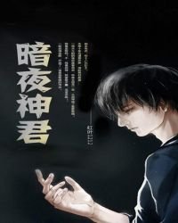 《暗夜神君》