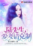 《陆先生,爱妻请克制》