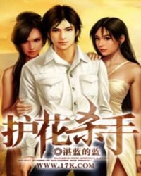 《护花杀手》