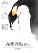 《帝企鹅在线养鸟》