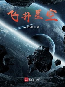 《飞升星空》