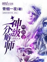 《网游之神级分解师》