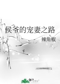 《侯爷的宠妻之路》
