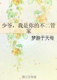 《(BL/网王同人)少爷,我是你的不二管家》
