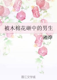《被木棉花砸中的男生》