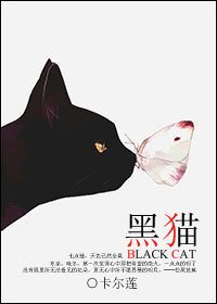 《(BL/家教同人)黑猫》