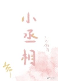 《日常盯妻的小丞相》